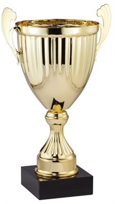AMC320 Series Metal Trophy